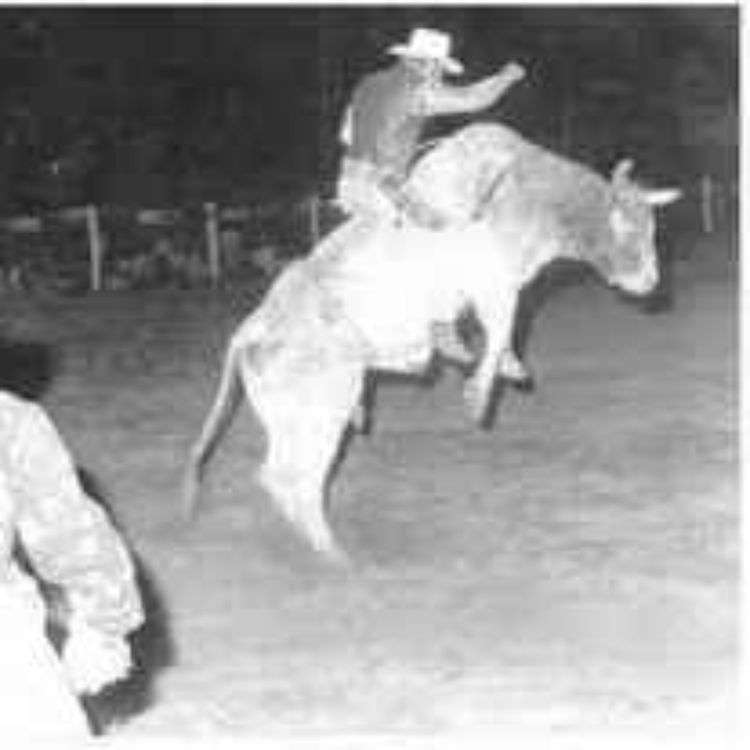 cover art for Riding Chainsaw The Eight Time Bull Of The Year