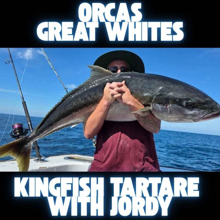 cover art for Orcas, Great Whites & Kingfish Tartare with Jordy