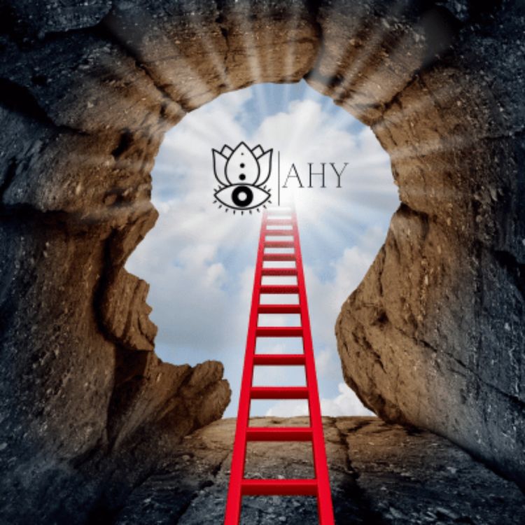 cover art for Meditation 101