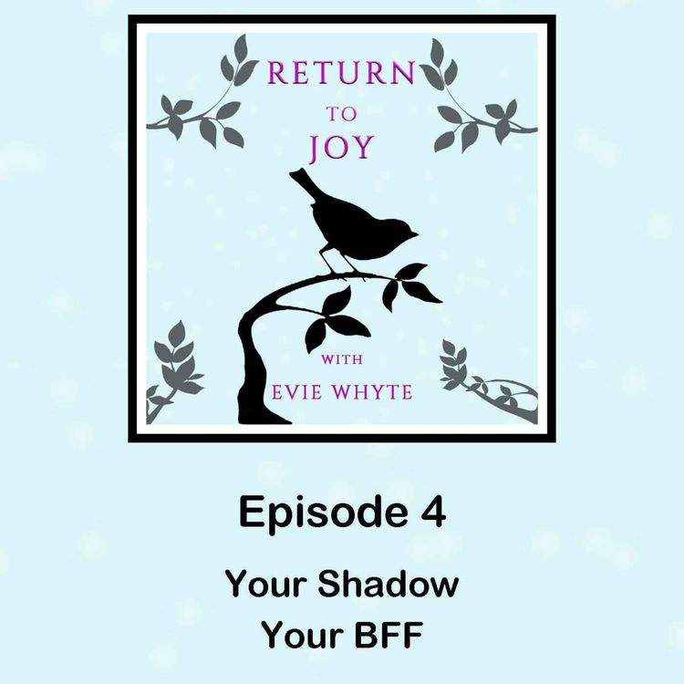 cover art for Your Shadow, Your BFF