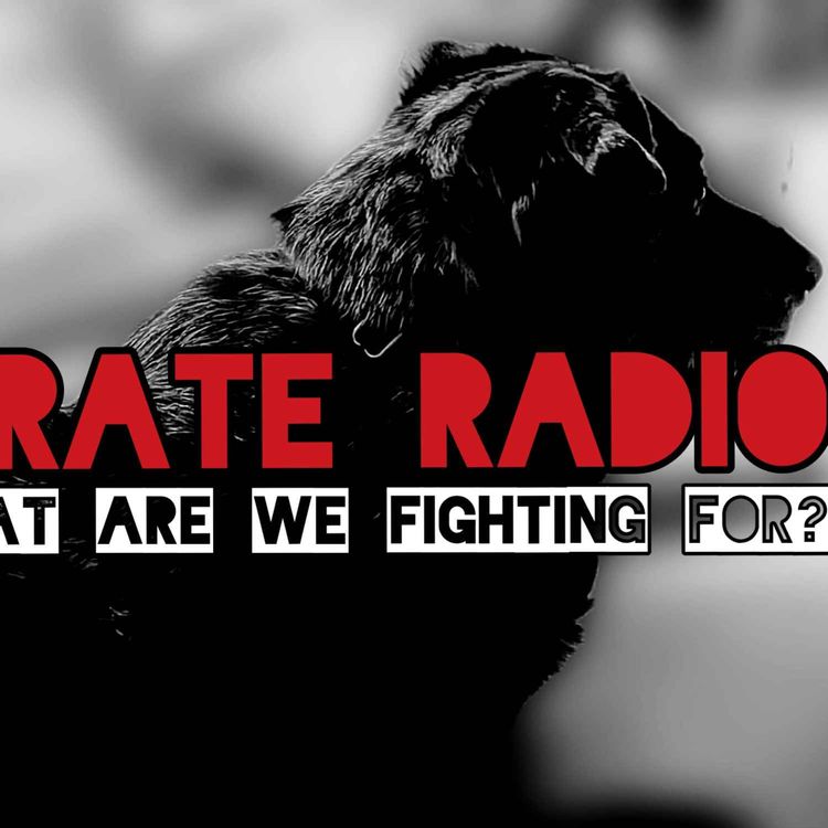cover art for Pirate Radio #40 - What Are We Fighting For?