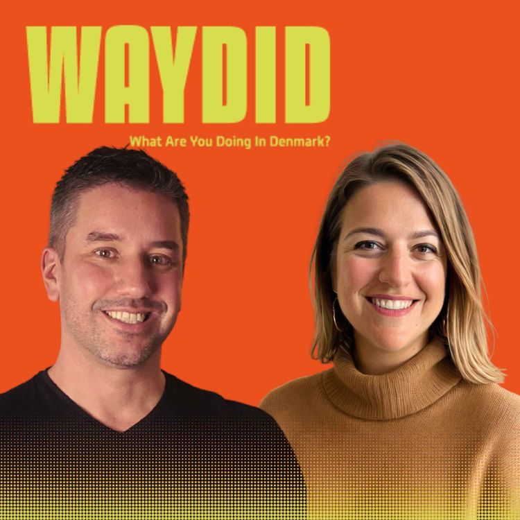 cover art for 60 | How Denmark took down McDonald's