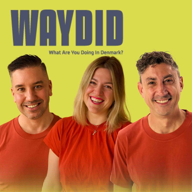 cover art for 115 |  Policing in Denmark: Myths, Realities & What Internationals Should Know