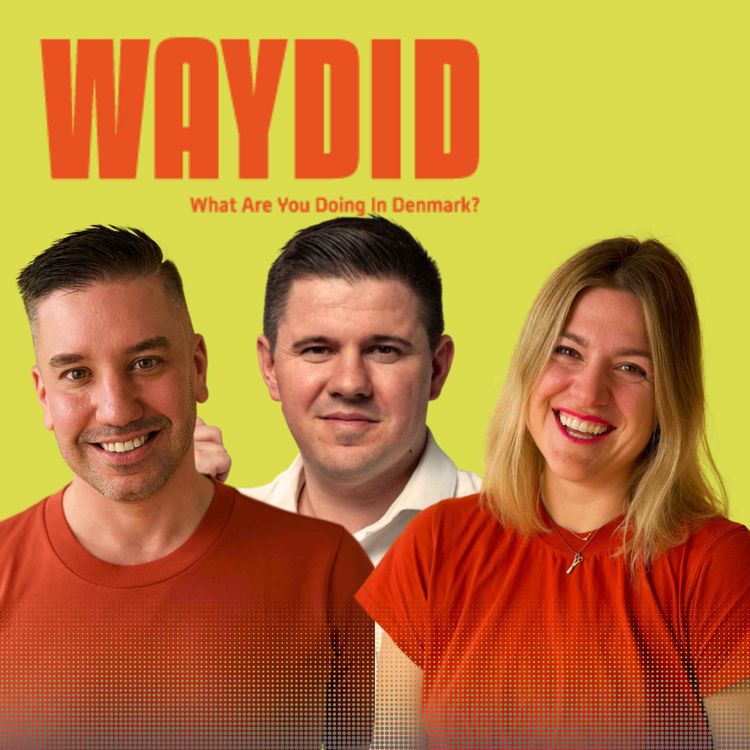 cover art for 118 | Where Your Tax Money Goes in Denmark and How to Have Your Say