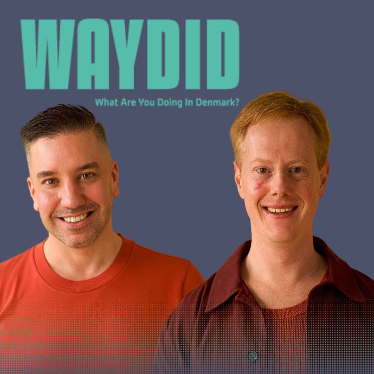 cover art for 141 | What Happens If You Lose Your Visa Job in Denmark?