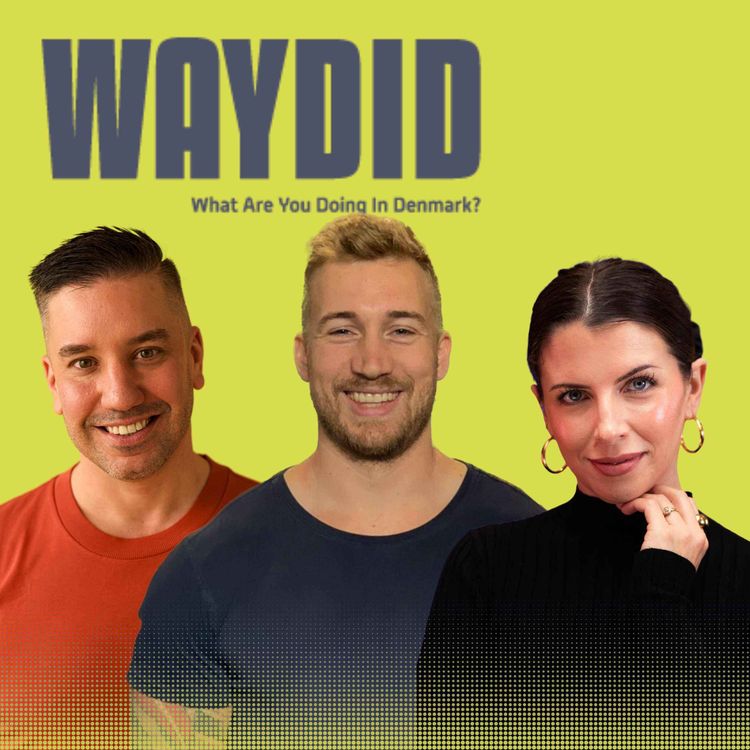 cover art for 145 | Should Working Out Be Taxed? Why Denmark Just Made Gyms More Expensive