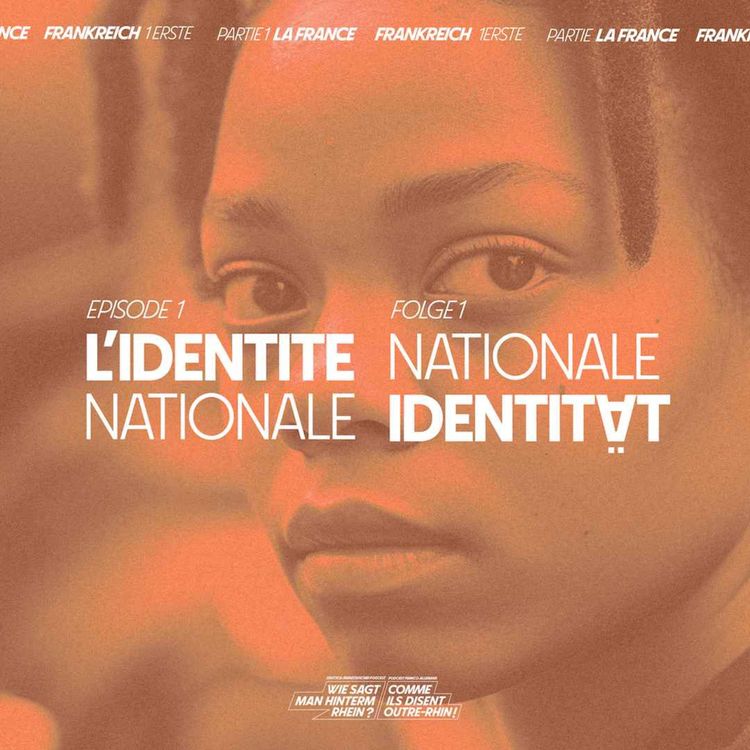 cover art for L'identité nationale en France