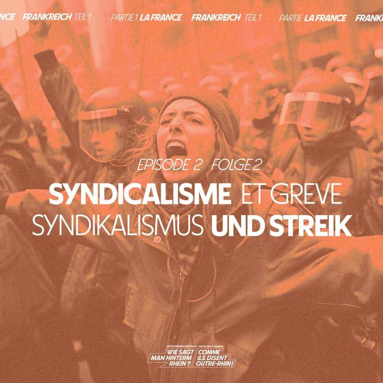 cover art for La grève en France