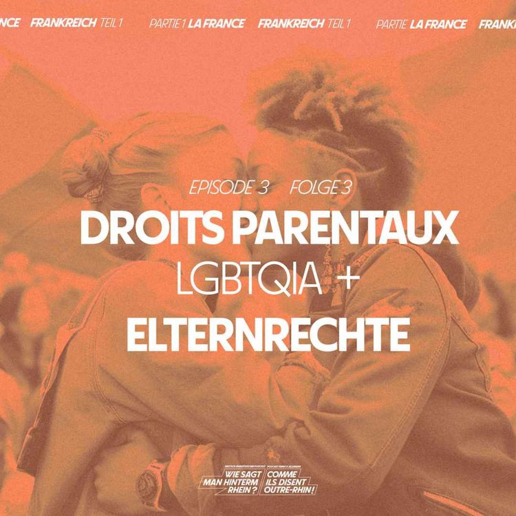 cover art for Les droits parentaux LGBTQIA+ en France