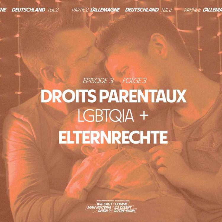 cover art for Les droits parentaux LGBTQIA+ en Allemagne