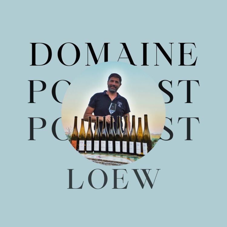 cover art for Domaine Loew à Westhoffen (67)