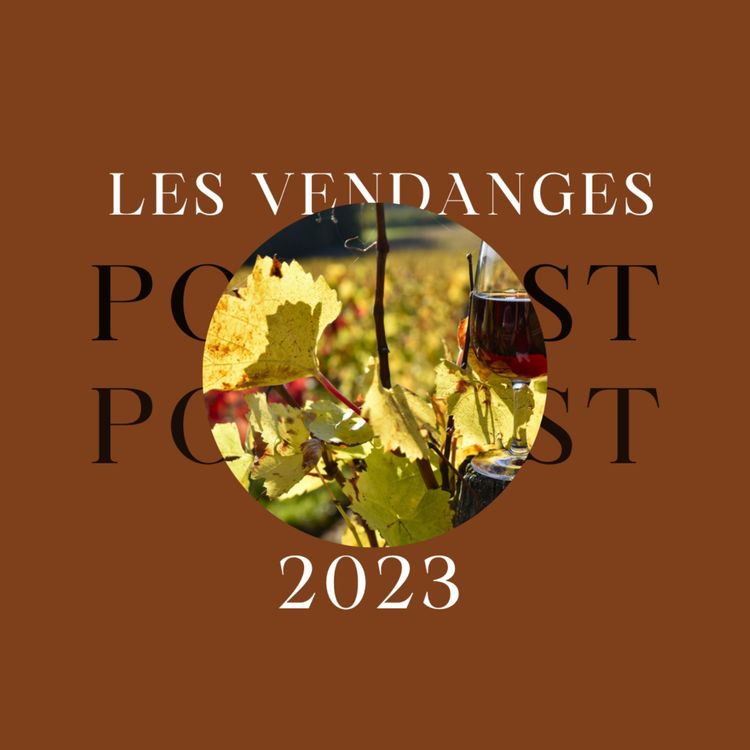 cover art for Les vendanges 2023 au Domaine Motz