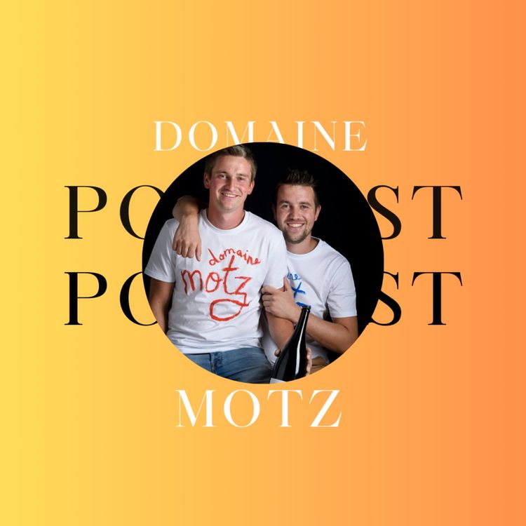 cover art for Domaine Motz à Bernardswiller (67)