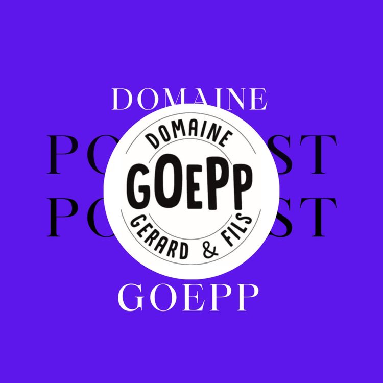 cover art for Domaine Goepp à Heiligenstein (67)