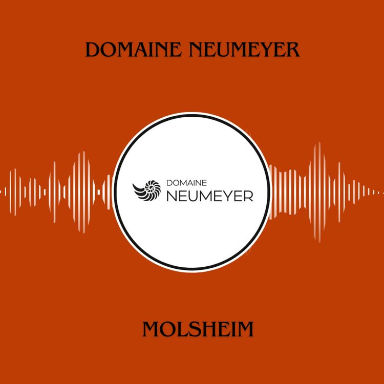 cover art for Domaine Neumeyer à Mosheim (67) [intégrale]