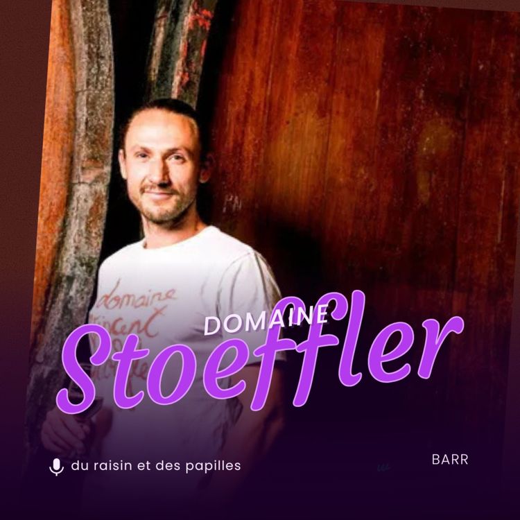 cover art for Domaine Stoeffler à Barr (67)