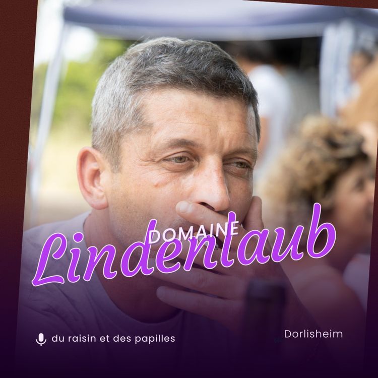 cover art for Domaine Lindenlaub à Dorlisheim (67)