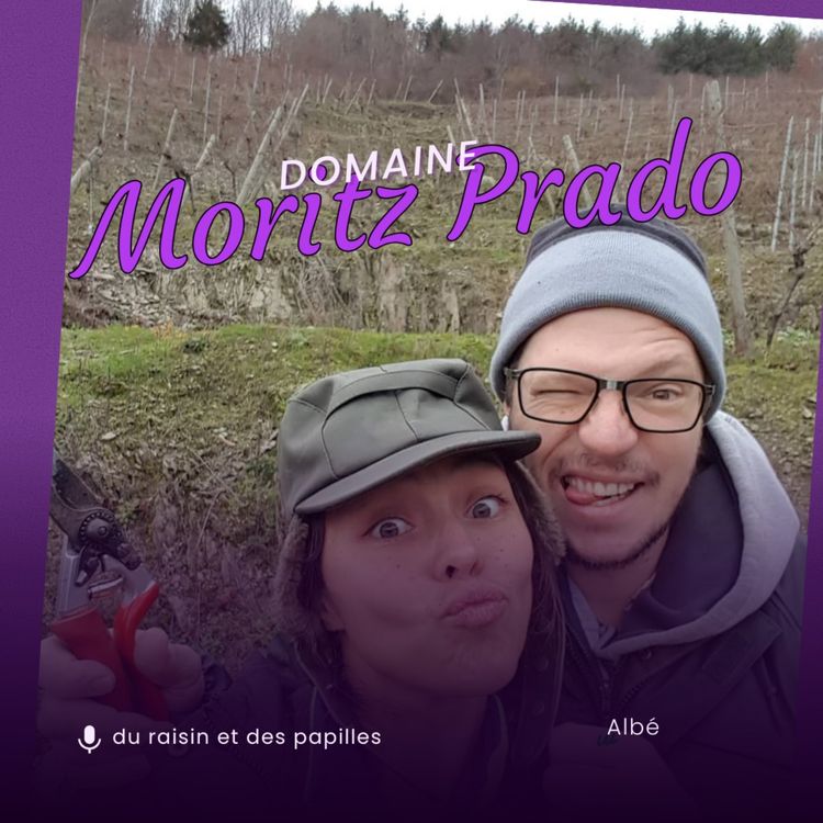 cover art for Domaine Moritz Prado à Albé (67) 3/4