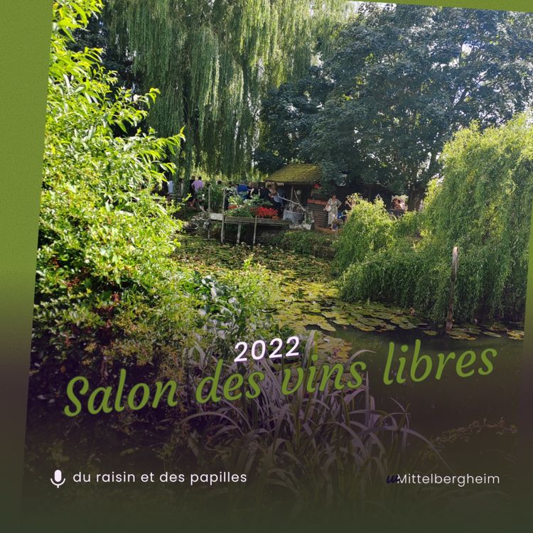 cover art for Salon des Vins Libres 2022 : rencontres avec les vignerons du vin vivant