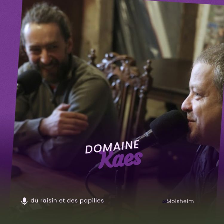 cover art for Henri Kaes – Vigneron bio à Molsheim : vins d’Alsace, terroir  (2/4)