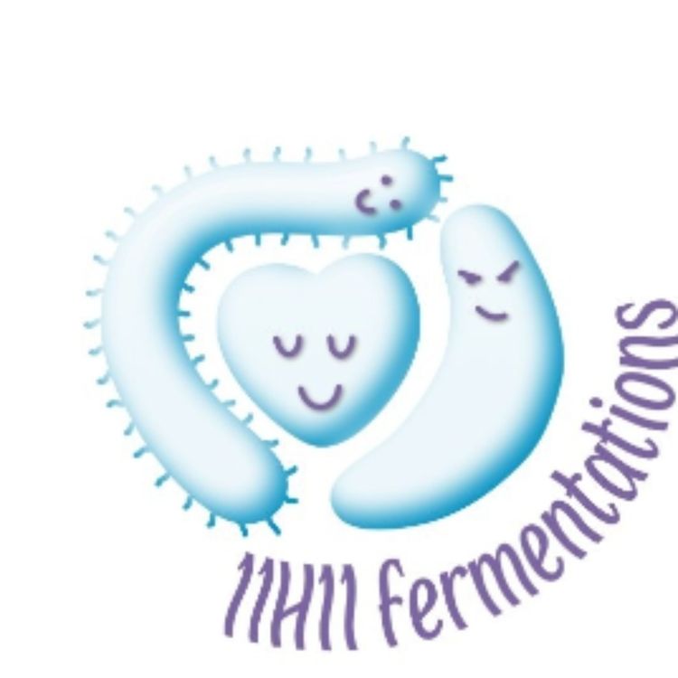 cover art for 11H11 fermentation: boissons sans alcool (07) (l'intégrale)