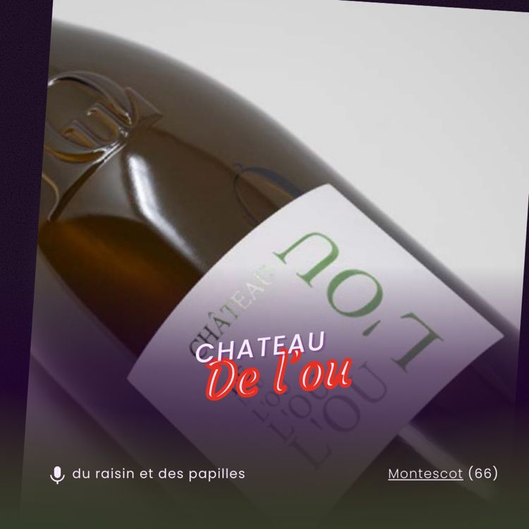 cover art for Les secrets du Château de l'Ou : Schiste et foudre rotatif