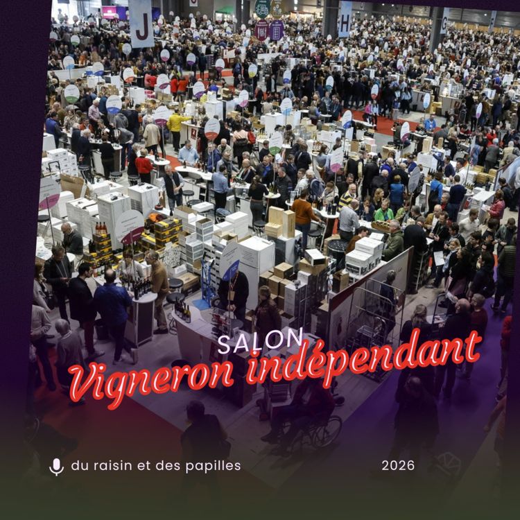 cover art for Roussillon & Jurançon au Salon des Vignerons 2026 : Château de l'Ou et Domaine Bellegarde