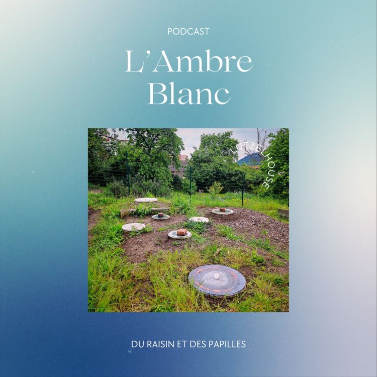 cover art for Ambre Blanc et Kvevris : Yann, l'artisan vinificateur d'Alsace