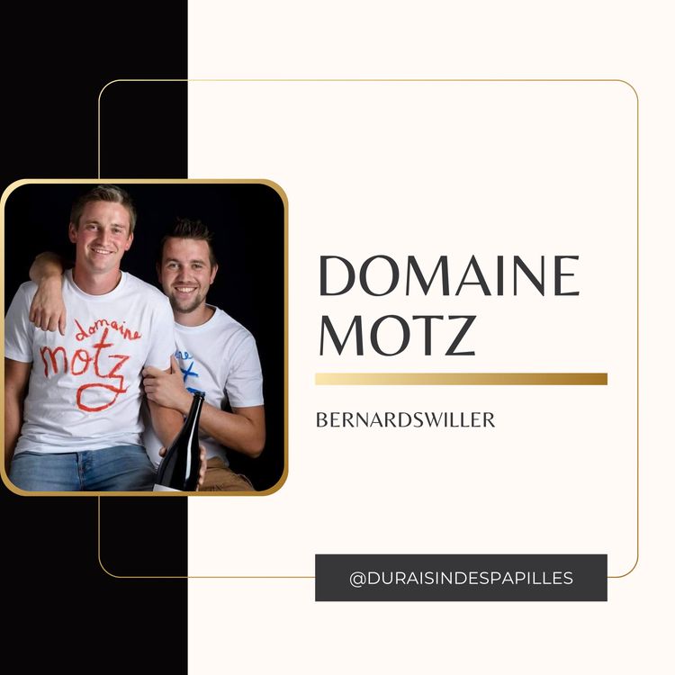 cover art for Florent et Nicolas Motz : de la PlayStation aux vignes centenaires de Bernardswiller