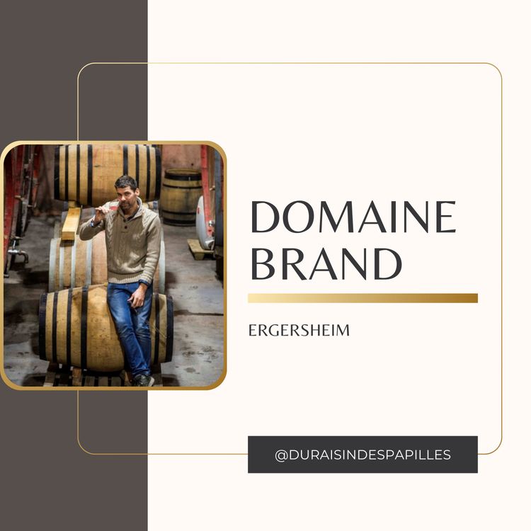 cover art for Philippe Brand : Vigneron Rebelle et Poète en Alsace