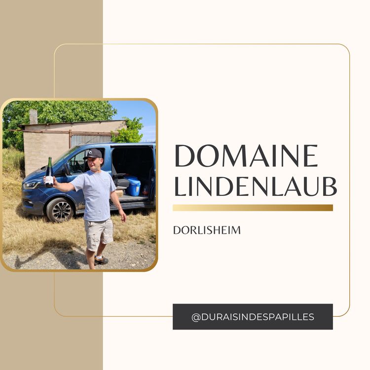 cover art for Christophe Lindenlaub : Quand le vin d'Alsace retrouve son âme