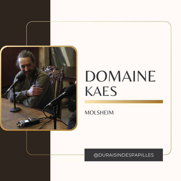cover art for Henri KAES : Le vin, créateur de lien social