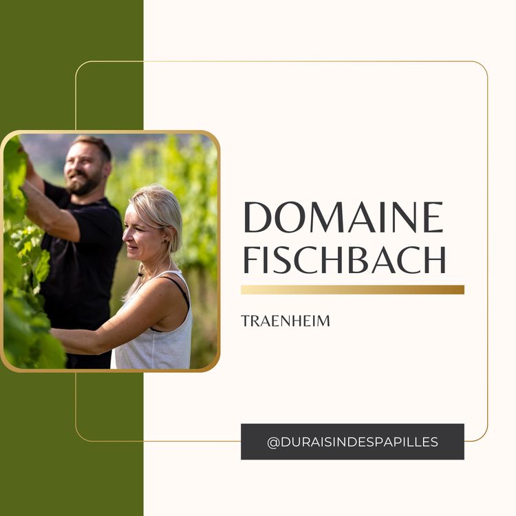 cover art for Domaine Fischabach: l'audace de réinventer le vin alsacien