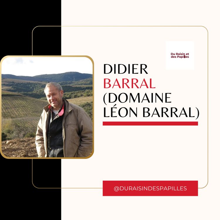cover art for Didier Barral (Domaine Léon Barral) : la masterclass du vin nature, enregistrée à Strasbourg