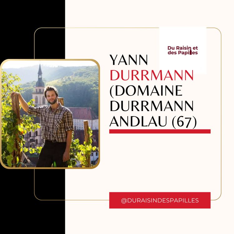 cover art for [Rediff] Yann Durrmann (Domaine Durrmann, Andlau) : le vin Nature et les coteaux que personne ne voulait
