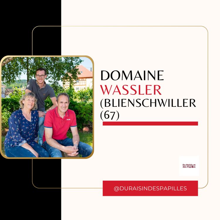 cover art for Mathieu Wassler (Domaine Wassler, Blienschwiller) : l'Alsace bousculée par l'expérimentation