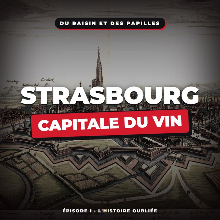 cover art for Épisode 1: Strasbourg, capitale du vin