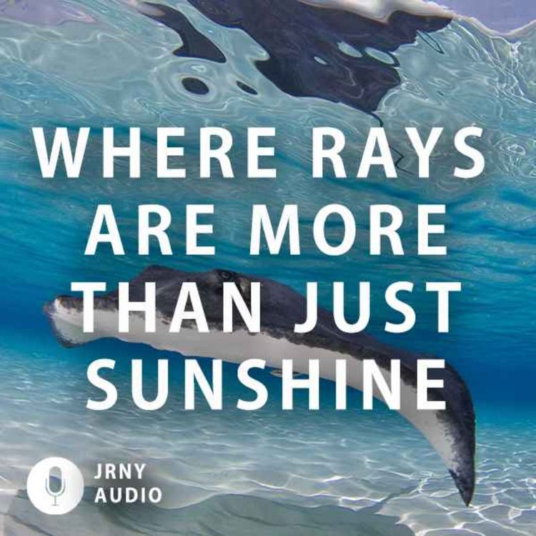 cover art for Where Rays Are More Than Just Sunshine