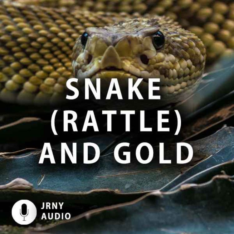 cover art for Snake (rattle) and gold