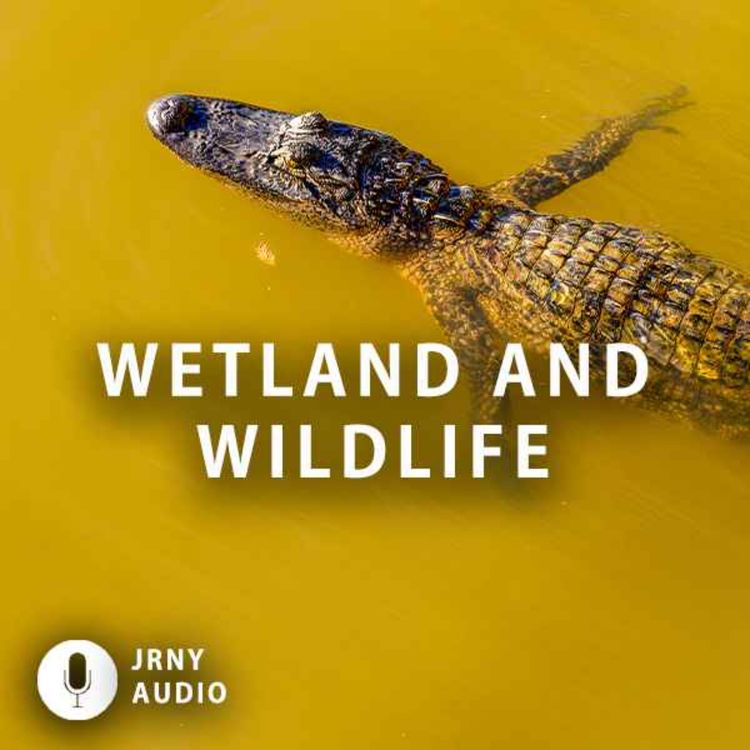 cover art for Wetland And Wildlife