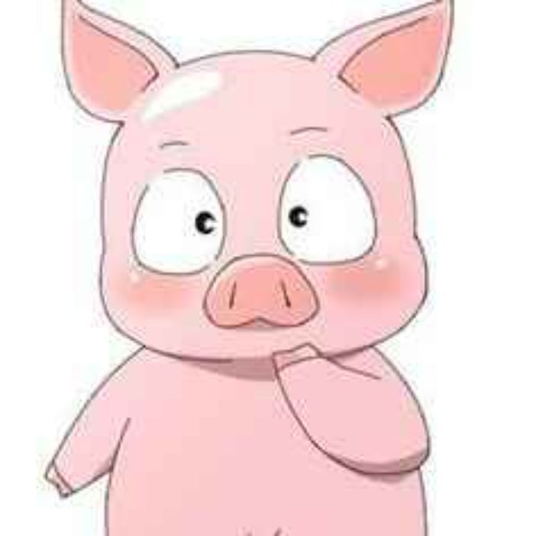 cover art for Relationship between Handler and pig