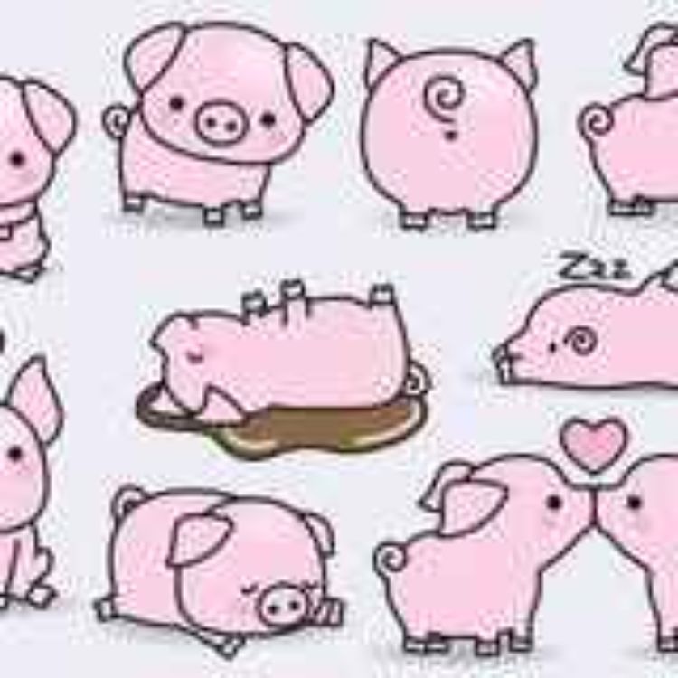 cover art for piggery 102 the basics behind the training