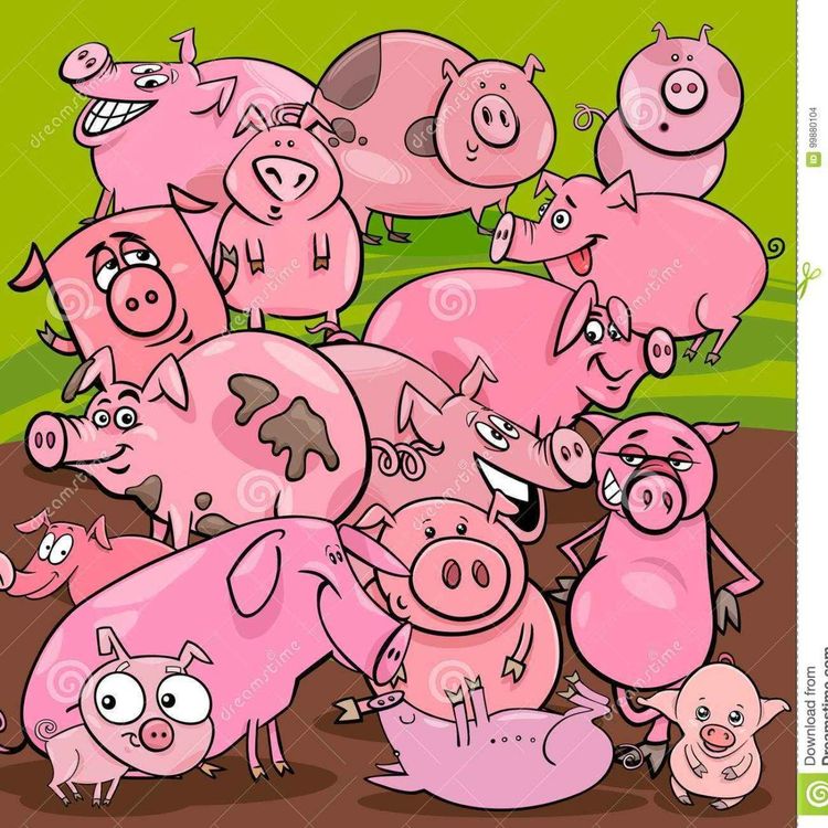 cover art for pig's and domination