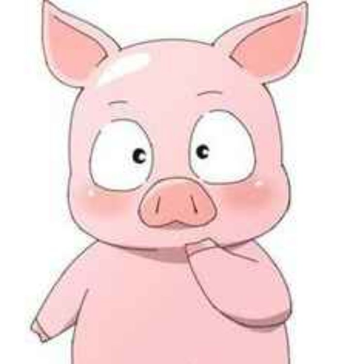 cover art for How to care for your pig