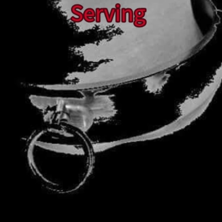 cover art for Serving?