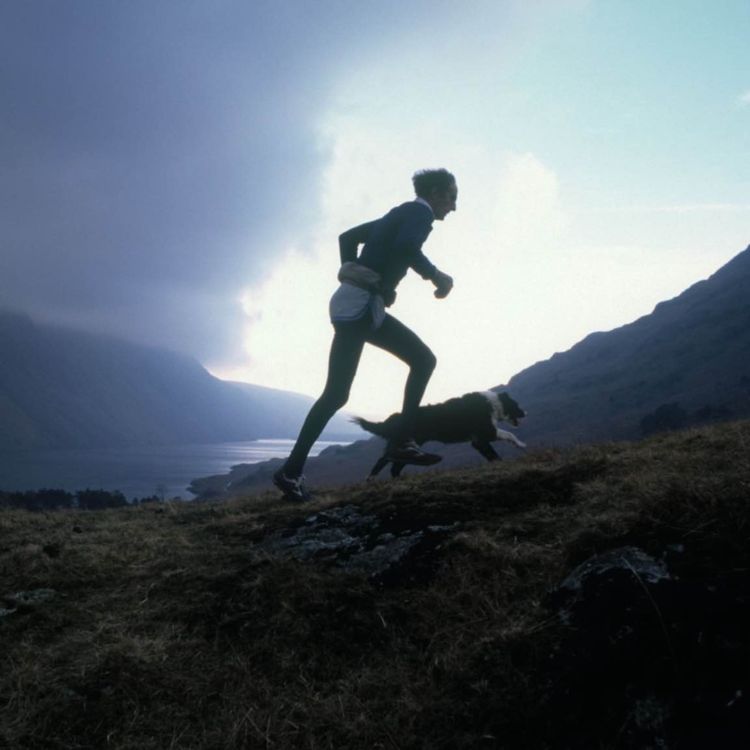 cover art for THE HISTORY | Joss Naylor MBE