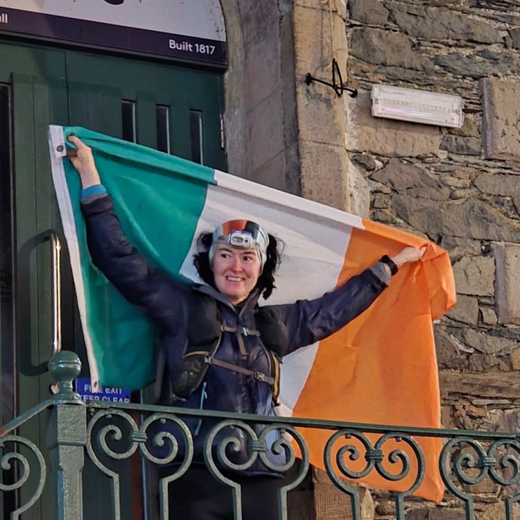 cover art for THE RUNNERS | Carol Morgan