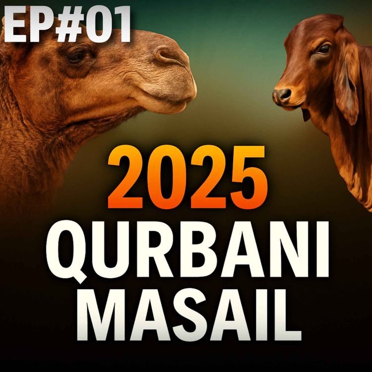 cover art for Qurbani Ke Masail 2025 Ep# 01 | Mufti Tariq Masood Speeches 🕋