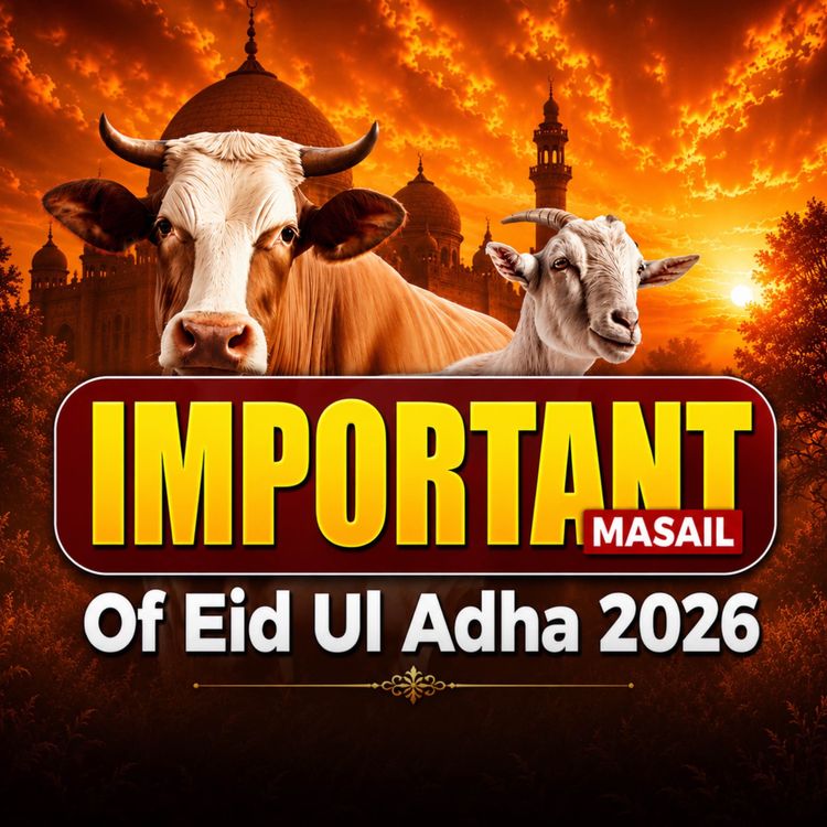 cover art for Important Masail Of Eid Ul Adha 2026 | Mufti Tariq Masood Speeches
