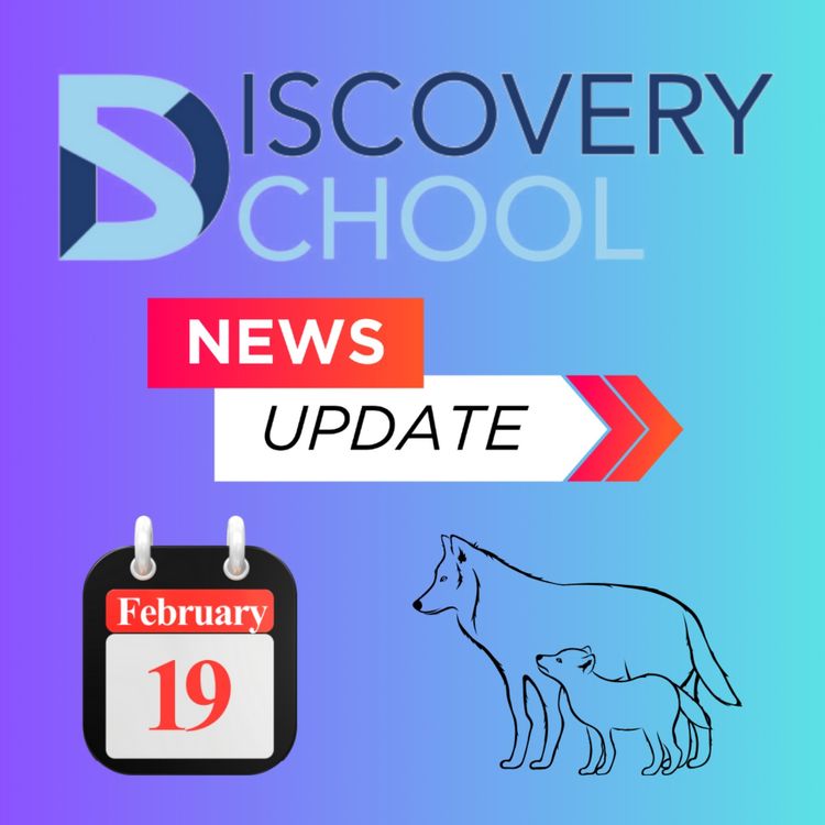 cover art for February 19 - 23, 2024